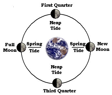 Charting The Tides Worksheet