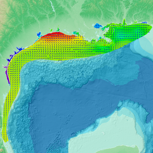 Northern Gulf of Mexico