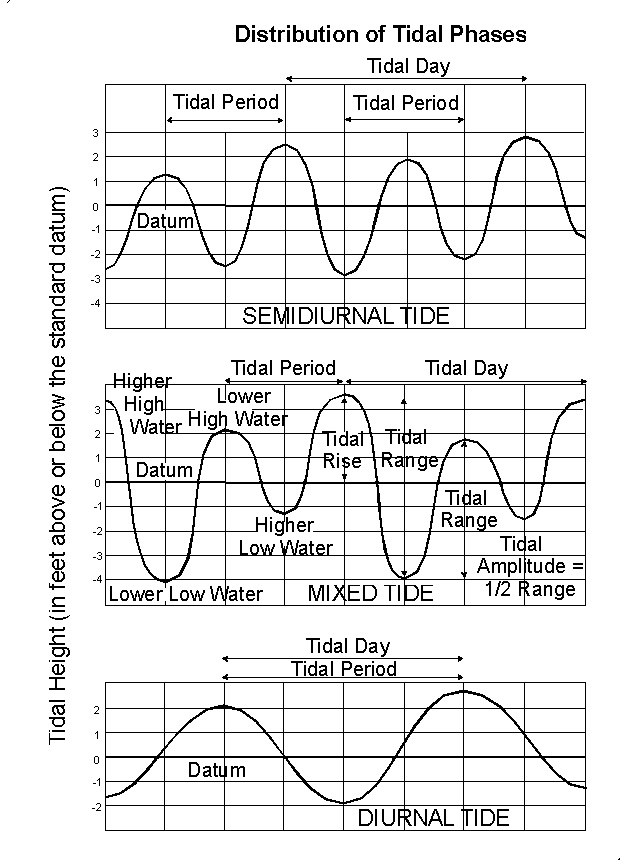 High Tide Chart